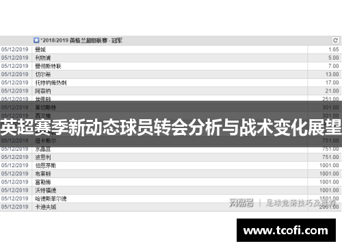 英超赛季新动态球员转会分析与战术变化展望